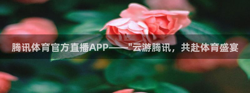 腾讯体育官方直播APP——\