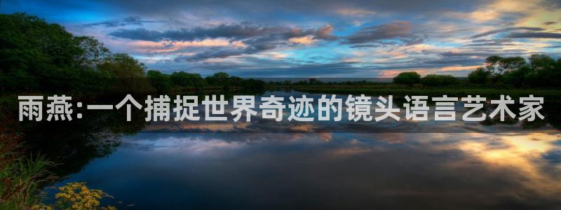 雨燕:一个捕捉世界奇迹的镜头语言艺术家