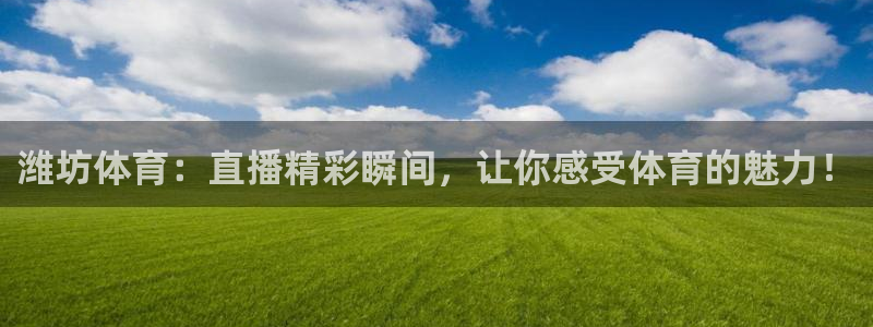 潍坊体育：直播精彩瞬间，让你感受体育的魅力！
