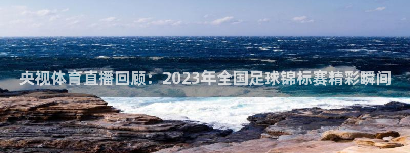 央视体育直播回顾：2023年全国足球锦标赛精彩瞬间