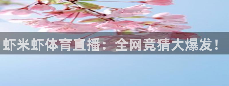 虾米虾体育直播：全网竞猜大爆发！
