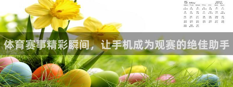 体育赛事精彩瞬间，让手机成为观赛的绝佳助手