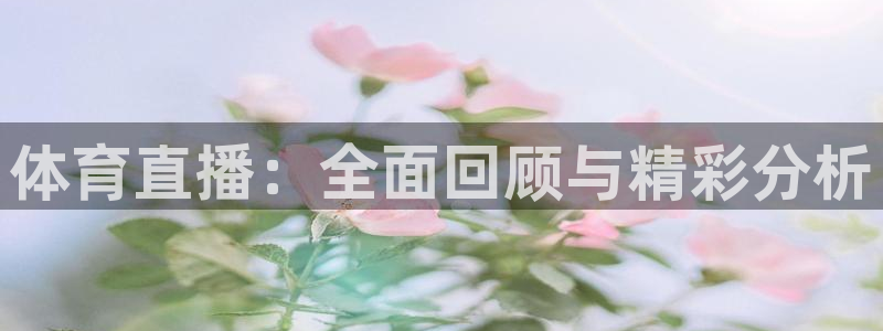 体育直播：全面回顾与精彩分析