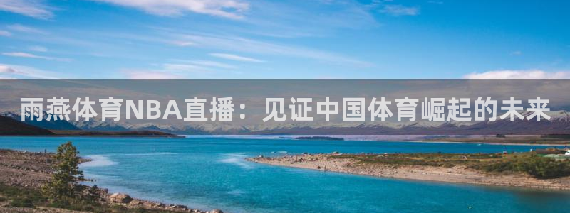 雨燕体育NBA直播：见证中国体育崛起的未来