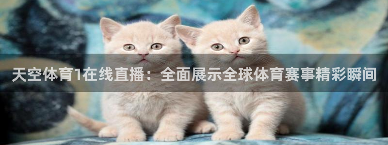 天空体育1在线直播：全面展示全球体育赛事精彩瞬间